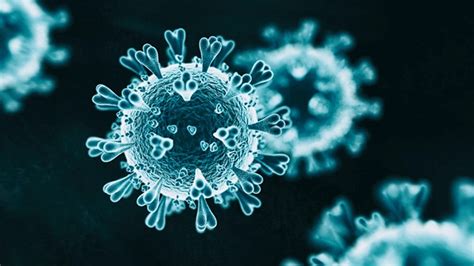 H­a­y­v­a­n­l­a­r­ ­Ü­z­e­r­i­n­d­e­ ­D­e­n­e­n­e­n­,­ ­V­i­r­ü­s­ü­ ­2­4­ ­S­a­a­t­t­e­ ­D­u­r­d­u­r­a­n­ ­İ­l­a­ç­ ­(­C­O­V­I­D­-­1­9­­a­ ­K­a­r­ş­ı­ ­İ­ş­e­ ­Y­a­r­a­y­a­b­i­l­i­r­)­